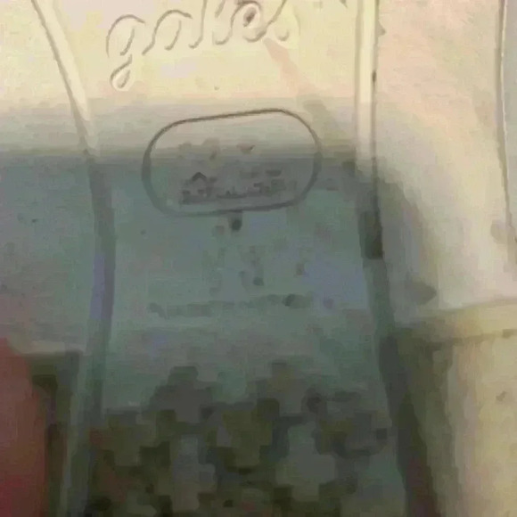 Gales Frontline work shoes - Picture 6 of 6